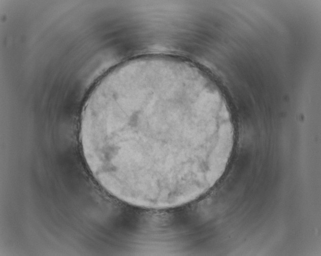 X0000088381314200706191258