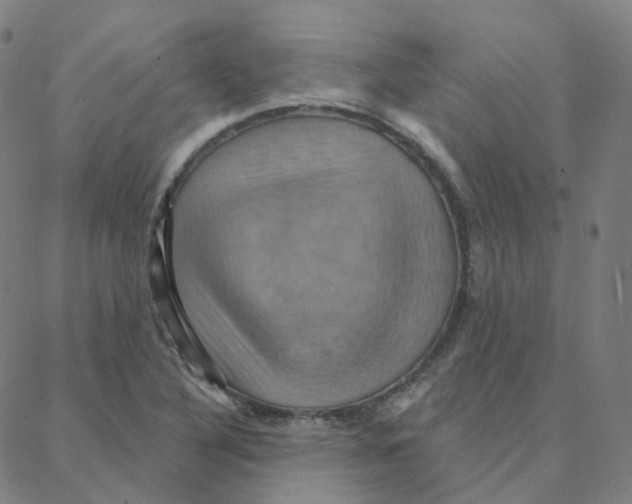 X0000088381316200706191258