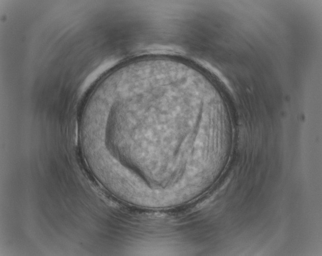 X0000088381317200706191258