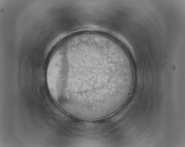 X0000088381318200706191258