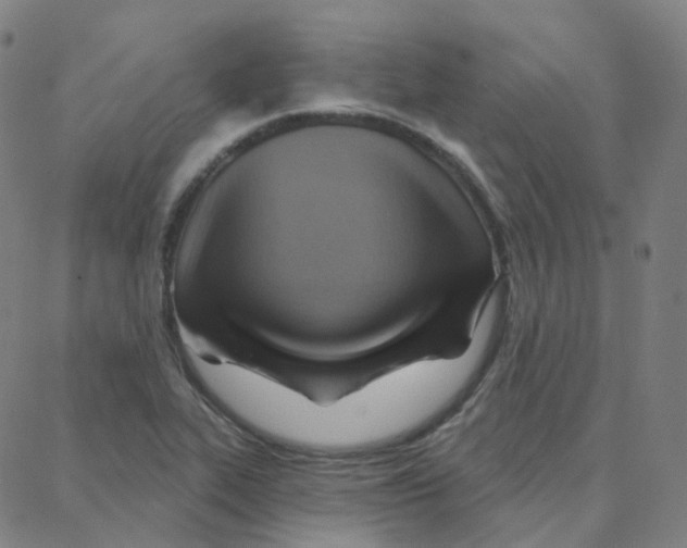 X0000088381319200706191258