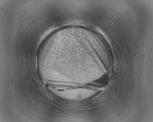 X0000088381320200706191258