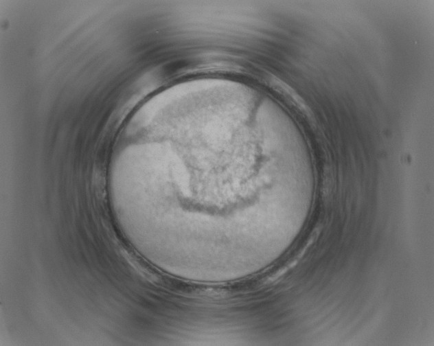 X0000088381321200706191258