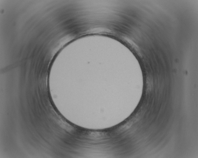 X0000088381322200706191258