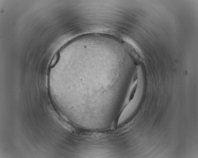 X0000088381324200706191258