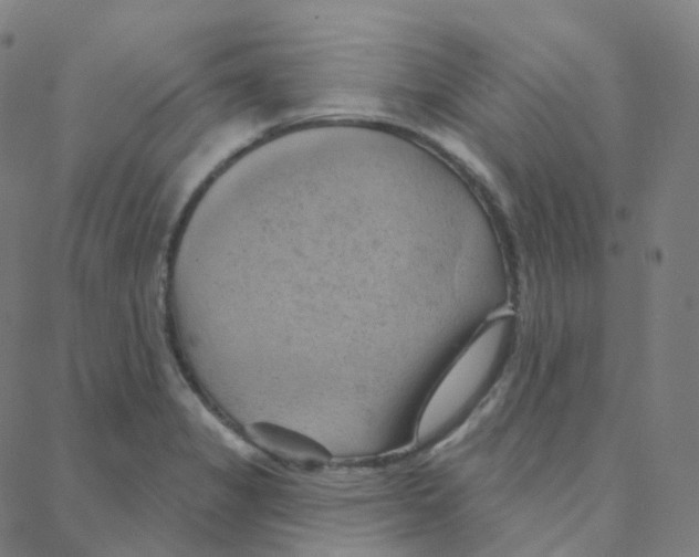 X0000088381325200706191258