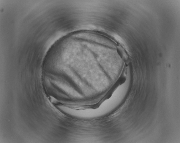 X0000088381326200706191258