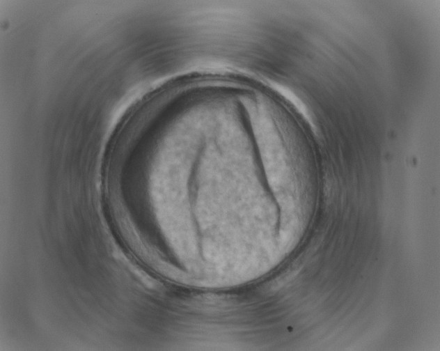 X0000088381327200706191258