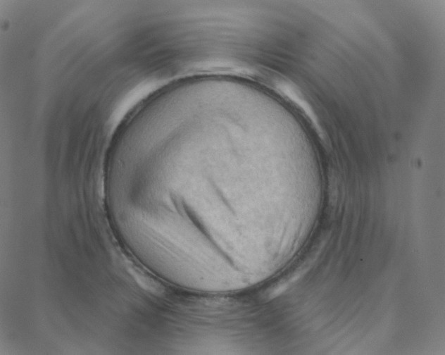 X0000088381328200706191258