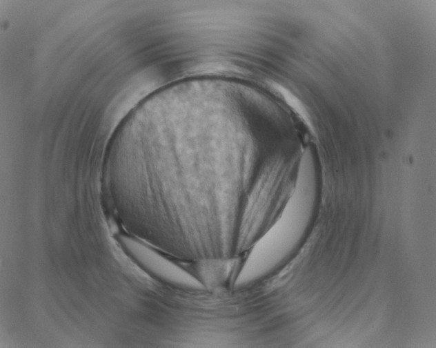 X0000088381330200706191258