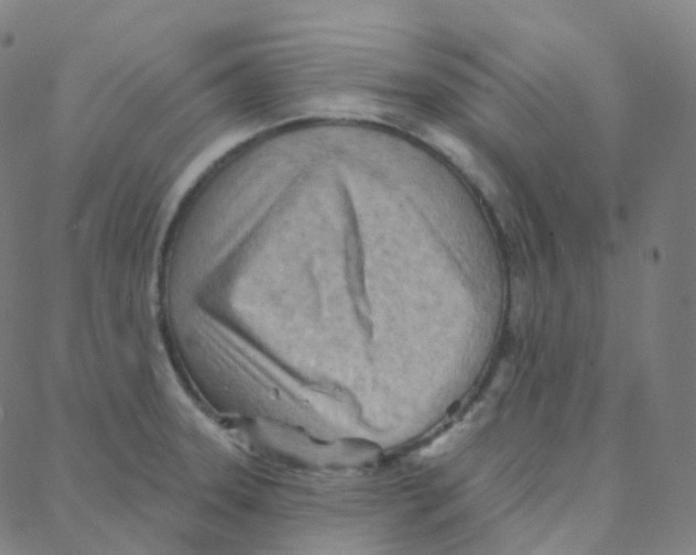 X0000088381331200706191258