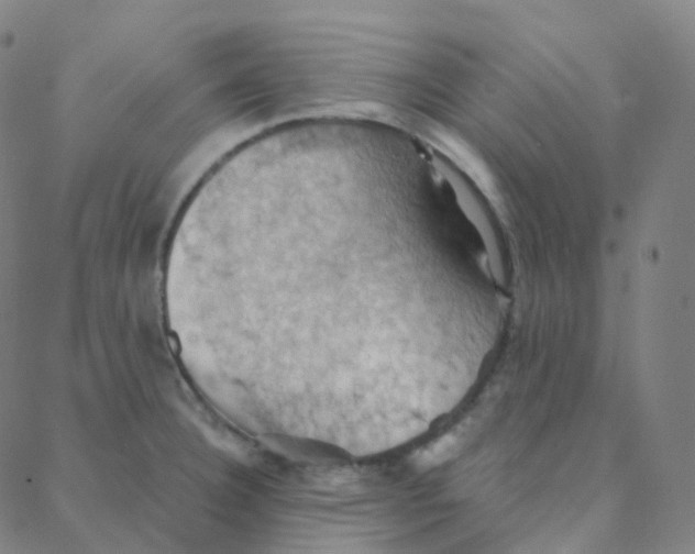 X0000088381332200706191258