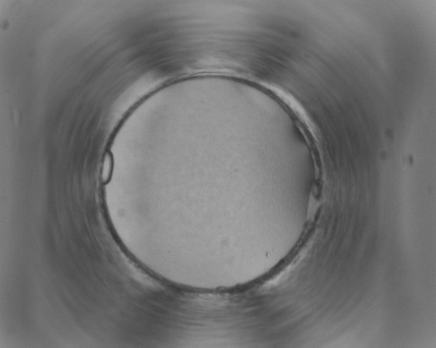 X0000088381333200706191258