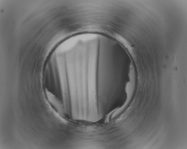 X0000088381334200706191258