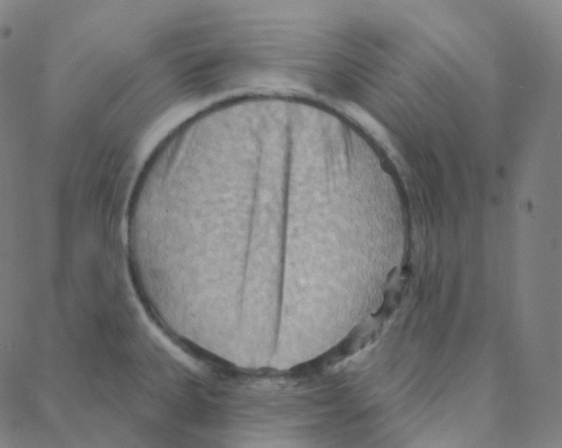 X0000088381335200706191258