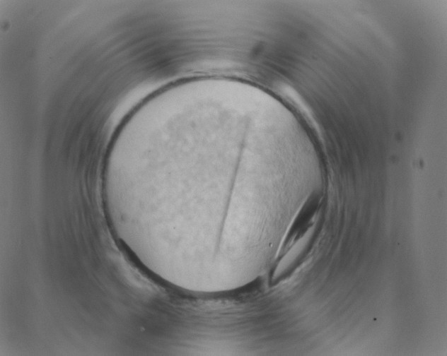 X0000088381336200706191258