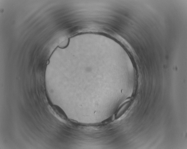 X0000088381337200706191258