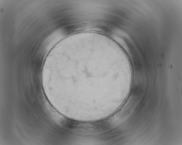 X0000088381338200706191258