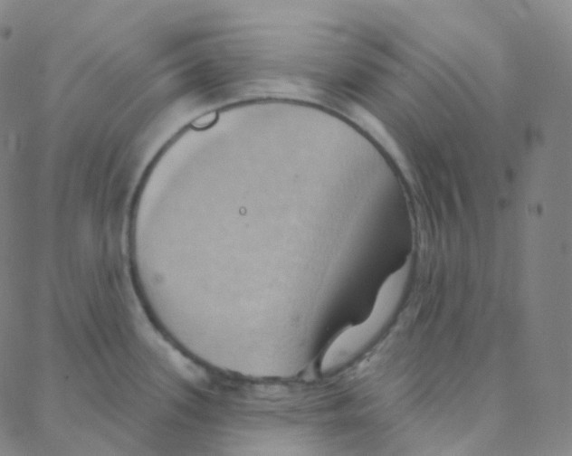 X0000088381339200706191258