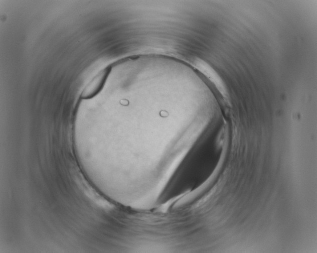 X0000088381340200706191258