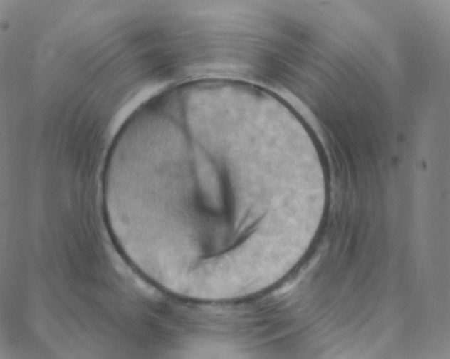 X0000088381341200706191258