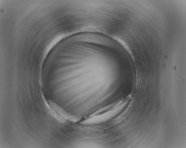 X0000088381342200706191258