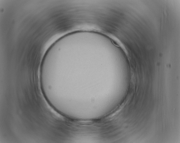 X0000088381343200706191258