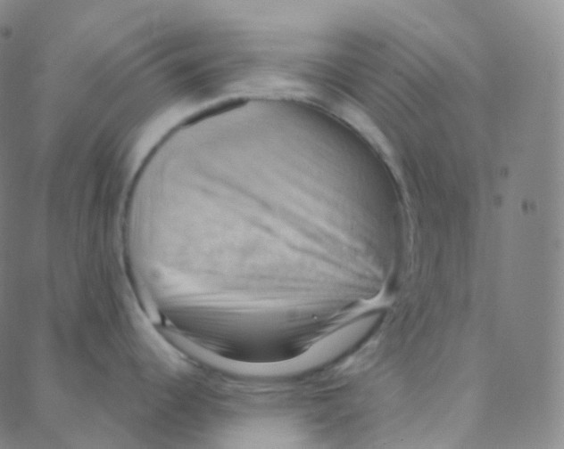 X0000088381344200706191258