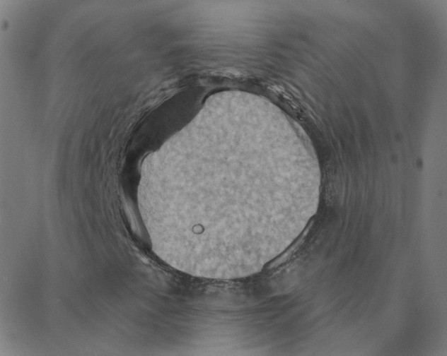 X0000088381345200706191258