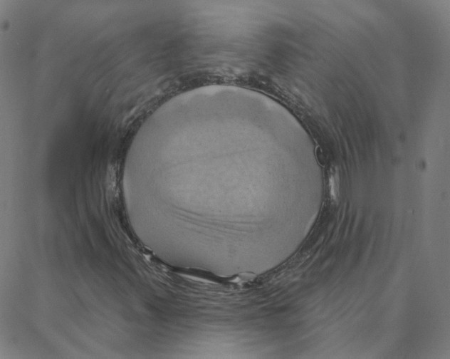 X0000088381347200706191258