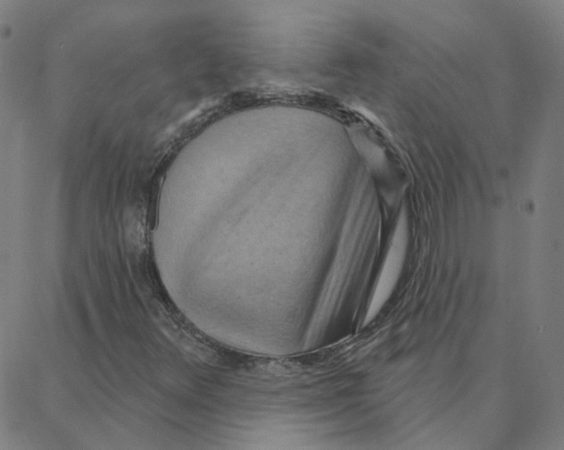 X0000088381348200706191258