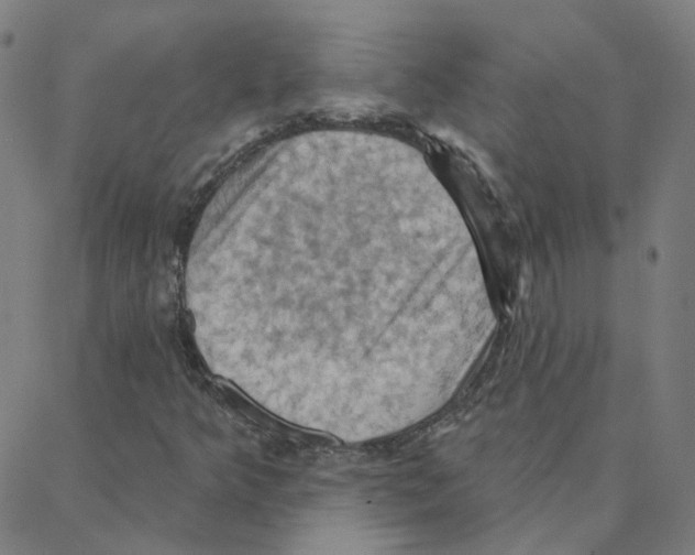 X0000088381349200706191258