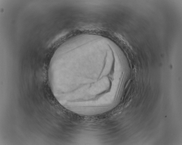 X0000088381350200706191258