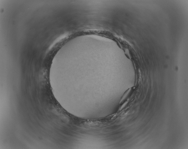 X0000088381351200706191258