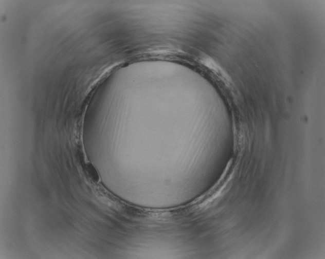 X0000088381353200706191257