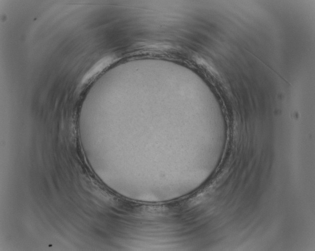 X0000088381354200706191257