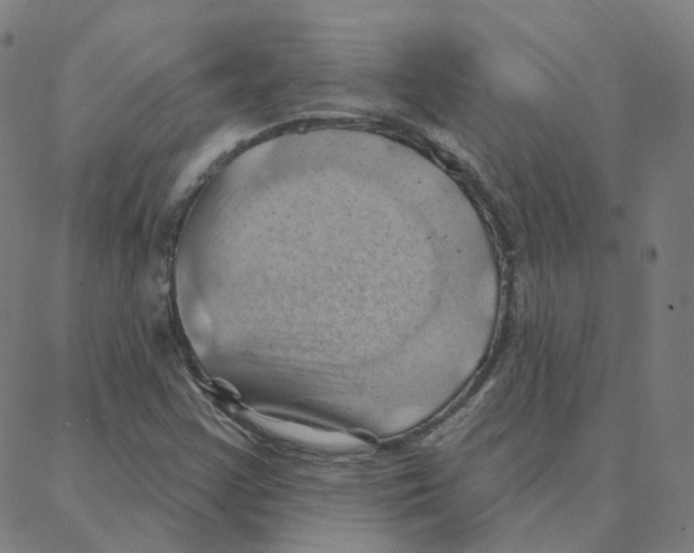 X0000088381355200706191257