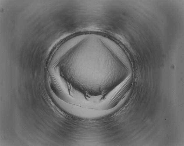 X0000088381356200706191257