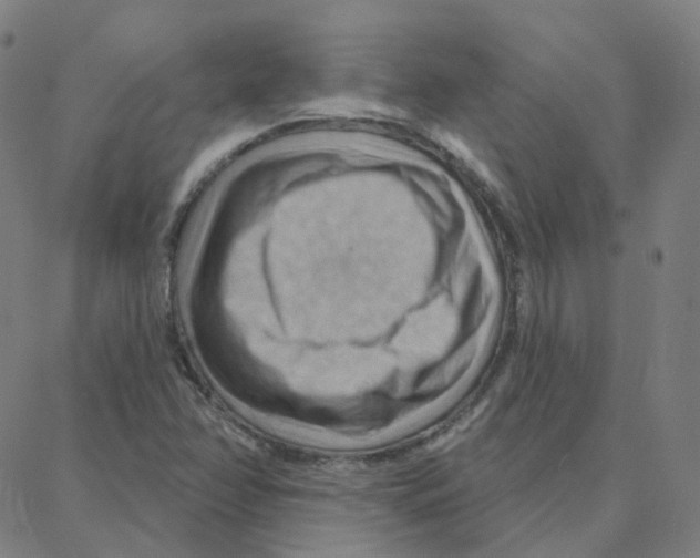 X0000088381358200706191257