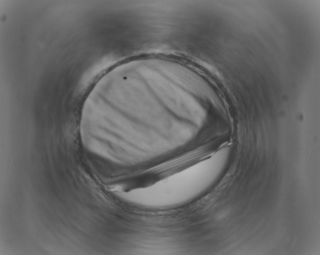 X0000088381359200706191257