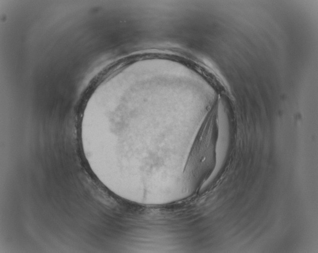 X0000088381360200706191257