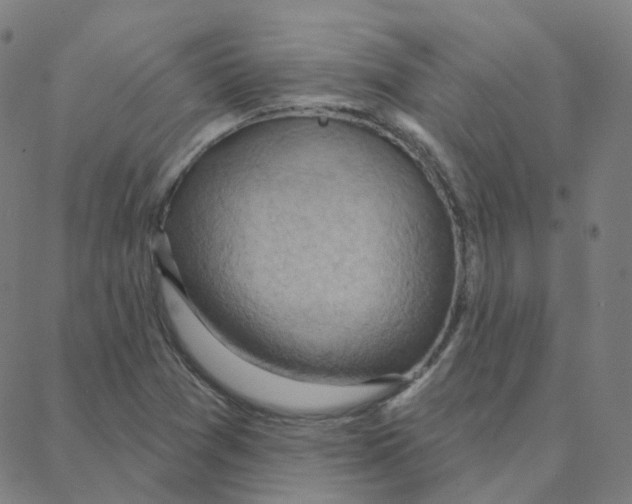 X0000088381361200706191257