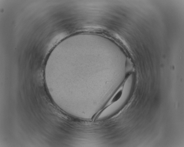 X0000088381362200706191257