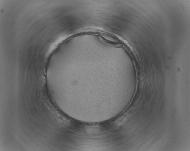 X0000088381363200706191257