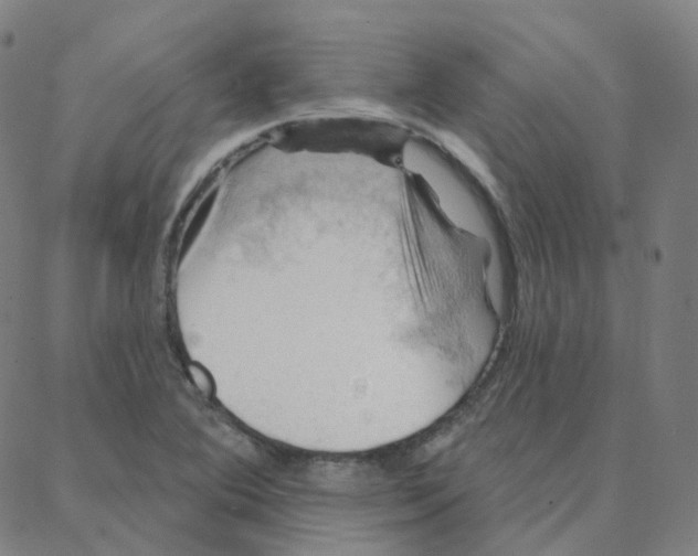 X0000088381364200706191257