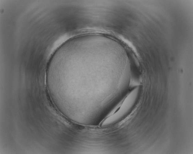 X0000088381365200706191257