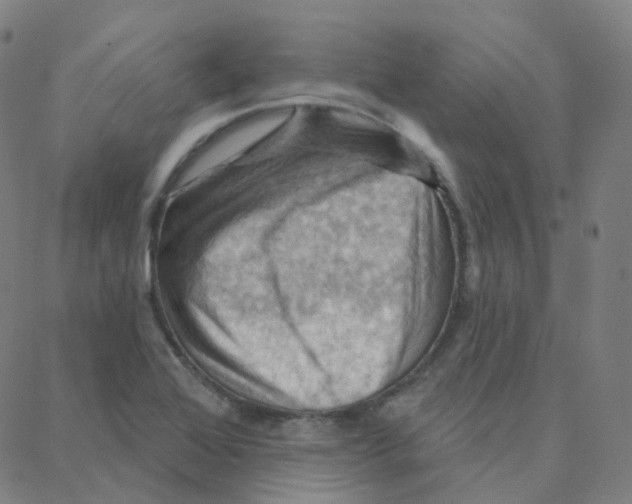 X0000088381368200706191257