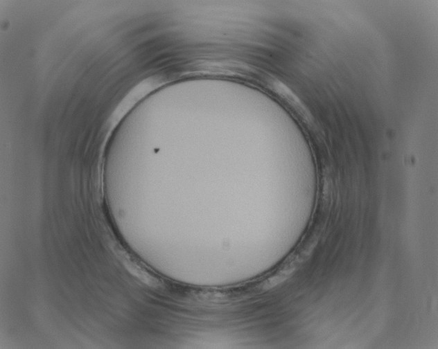 X0000088381370200706191257