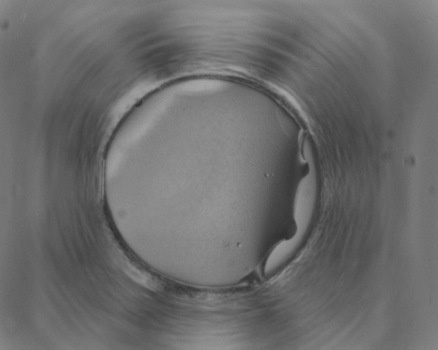 X0000088381371200706191257