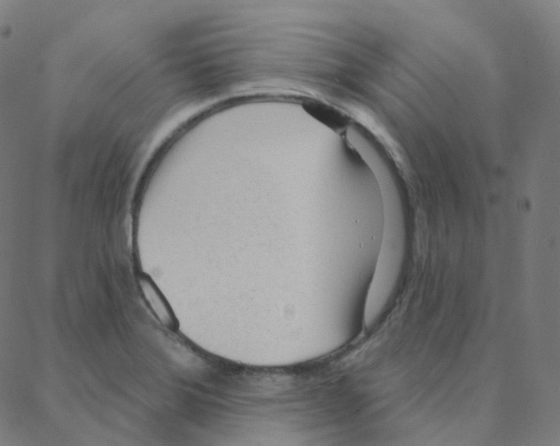 X0000088381372200706191257